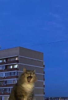 Що б ви хотіли бачити написаним від мене, Ара Сіяр - <a href=