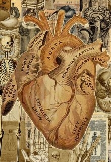 Заковане серце, Каріпсо - <a href=