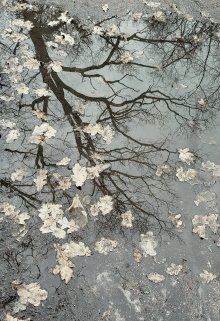 він був однолюб, Мартуся  - Читати Сучасну Українську Прозу Онлайн. Читати книги онлайн українською безкоштовно